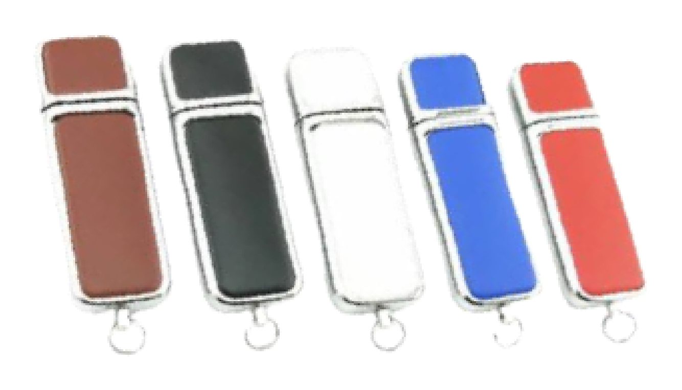 فلاش USB جلد